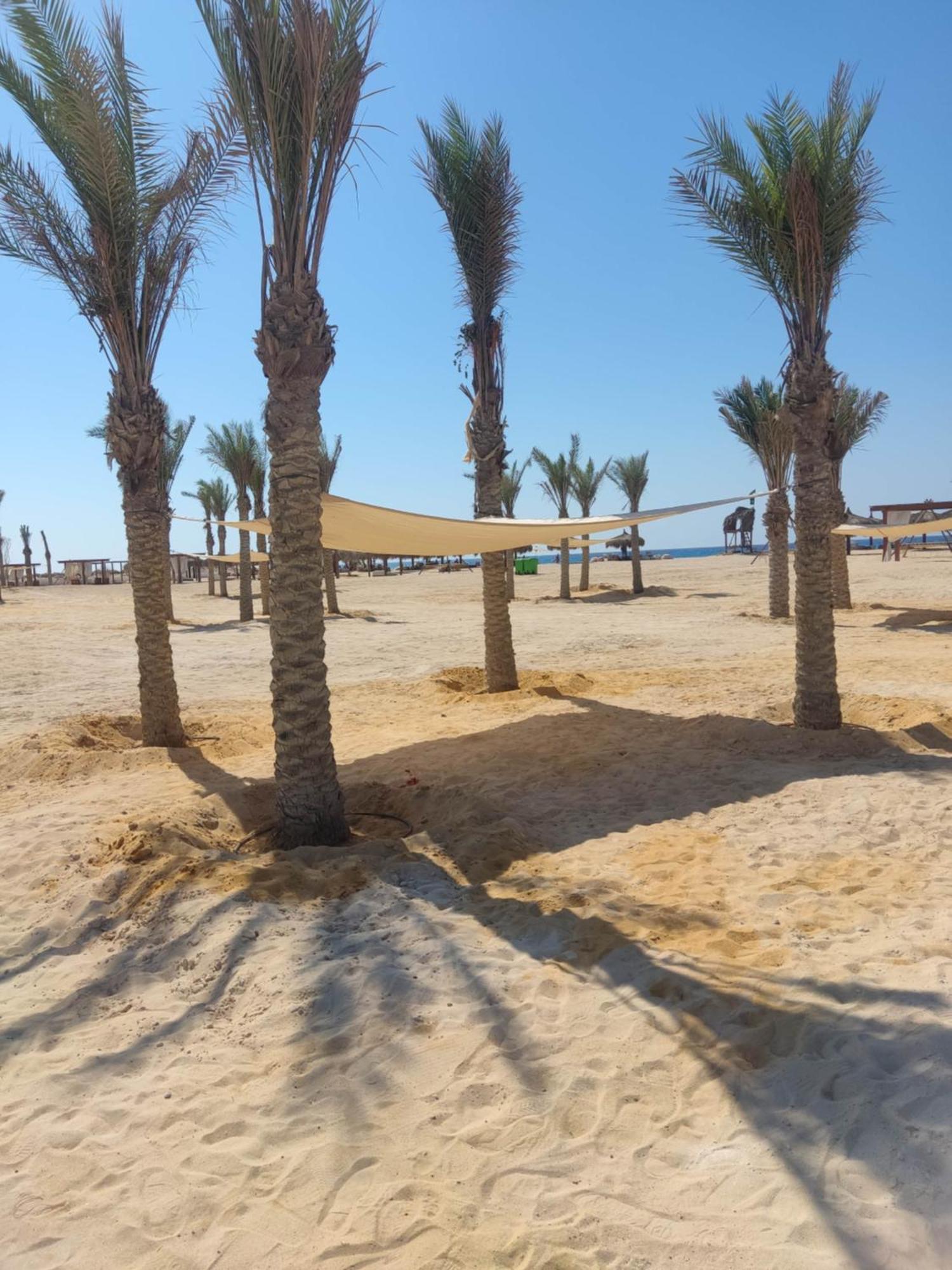 Zawiyat 'abd al Mun'im D-Bay North Coast酒店 外观 照片